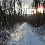 Warren Dunes State Park