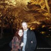 We were able to see the cherry blossoms bloom, and they look great at night