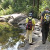 Laos elephant trek with local guide