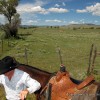 horseback riding at vee bar ranch_10