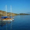 turkey photo1
