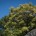 TweetBuffer